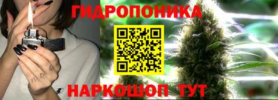 прущие крисы Нарткала
