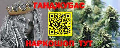прущие крисы Нарткала